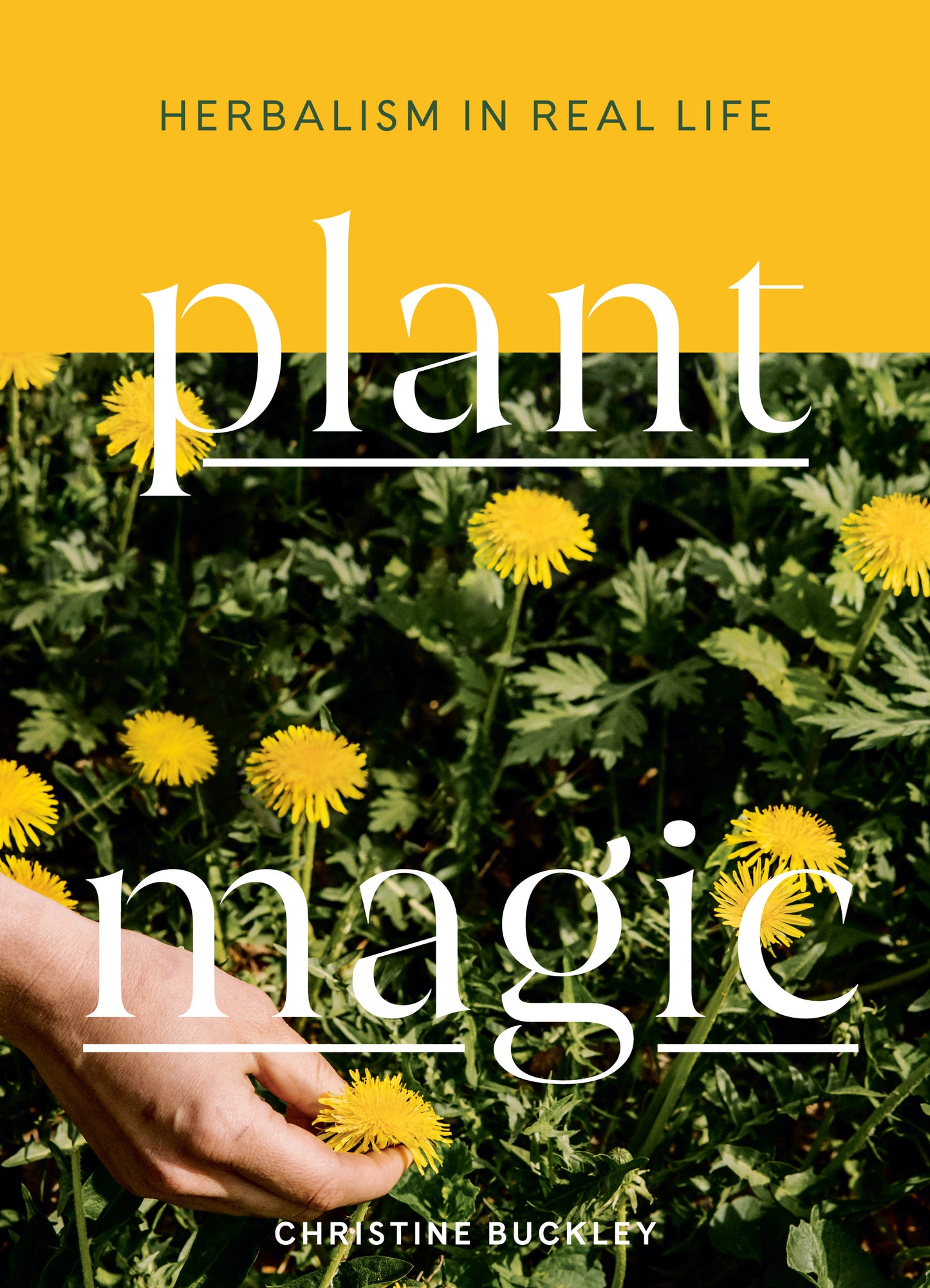 Plant Magic