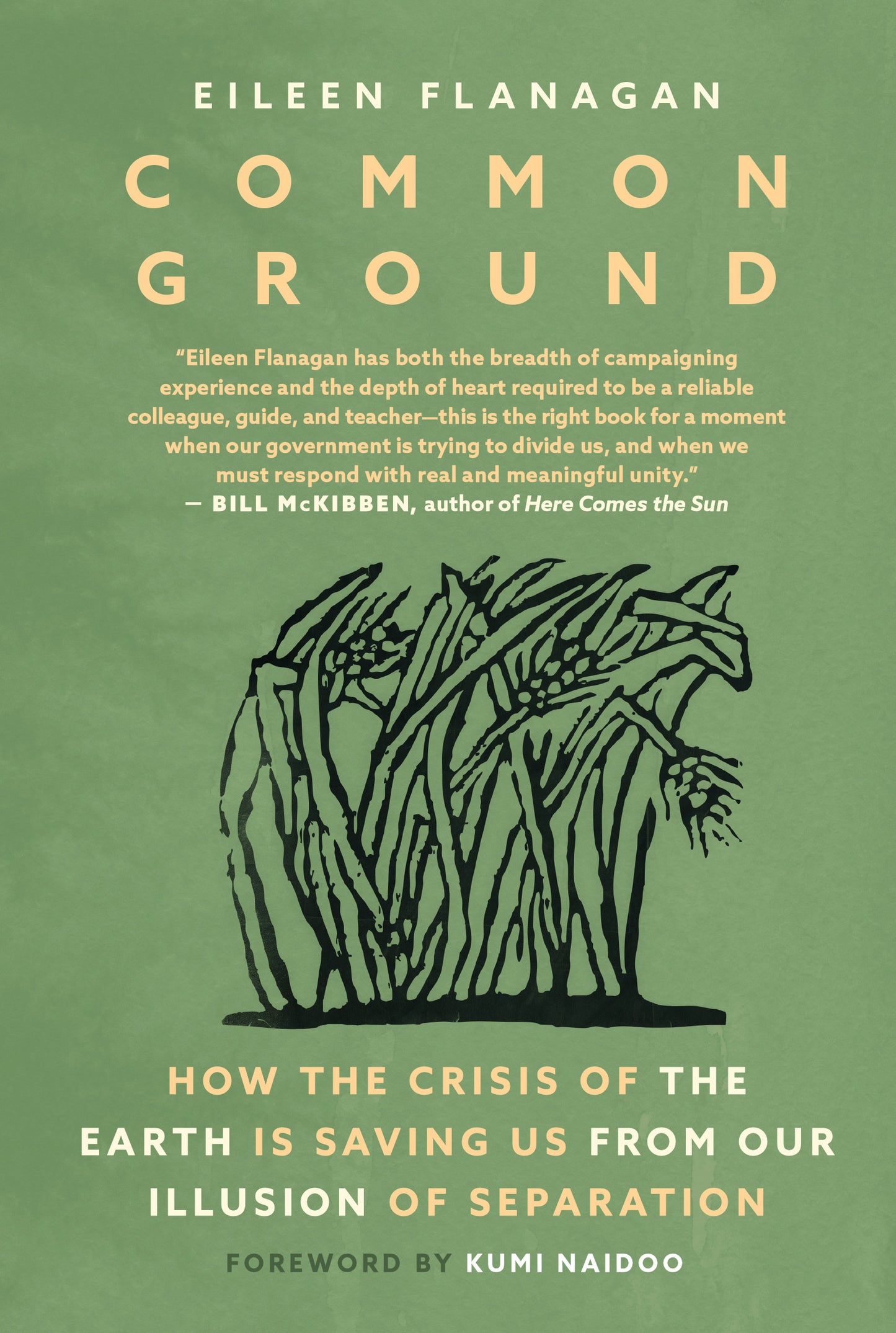 Common Ground
