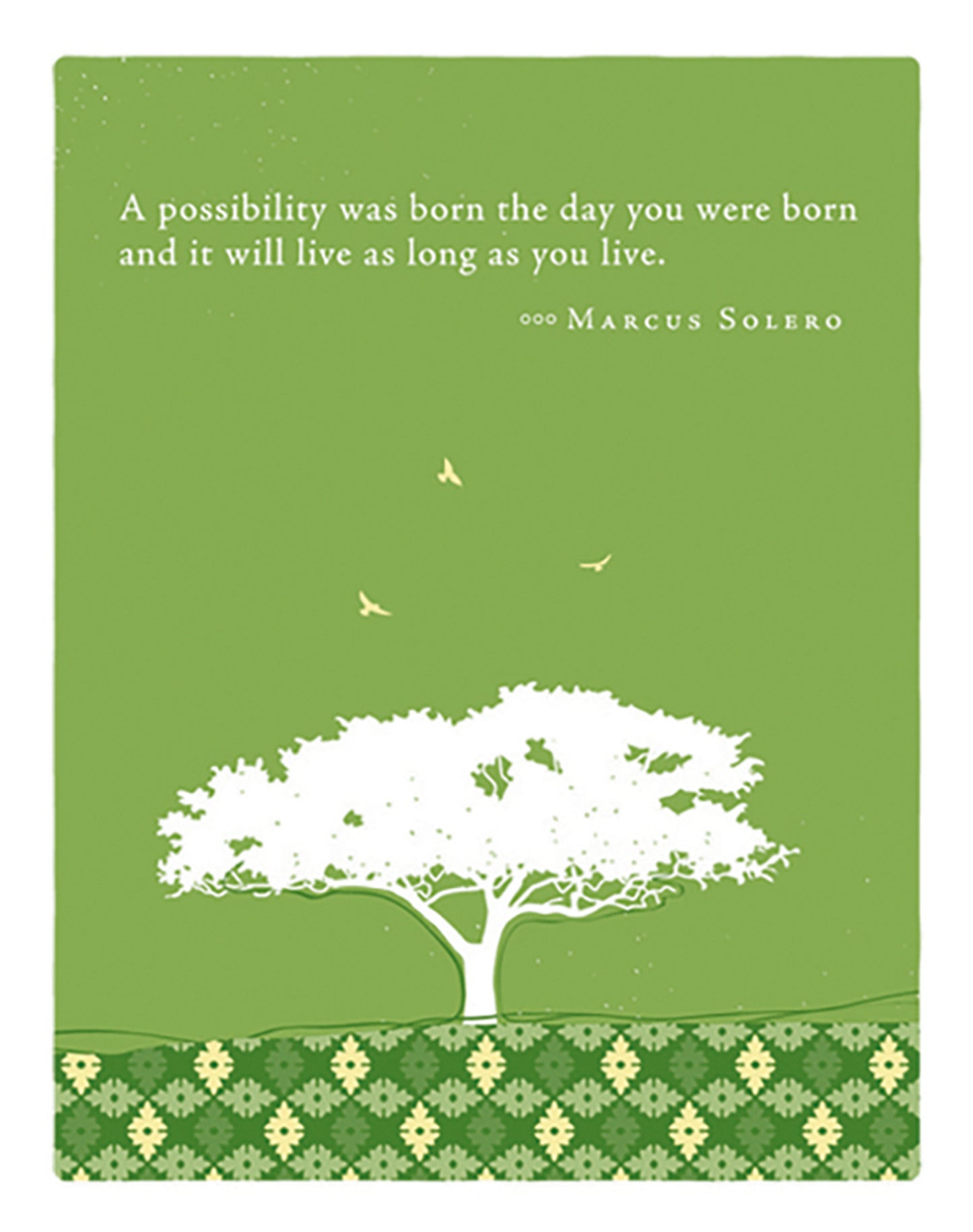 Positively Green Greeting Cards: Birthday - A possibility was born (Pack of 6)
