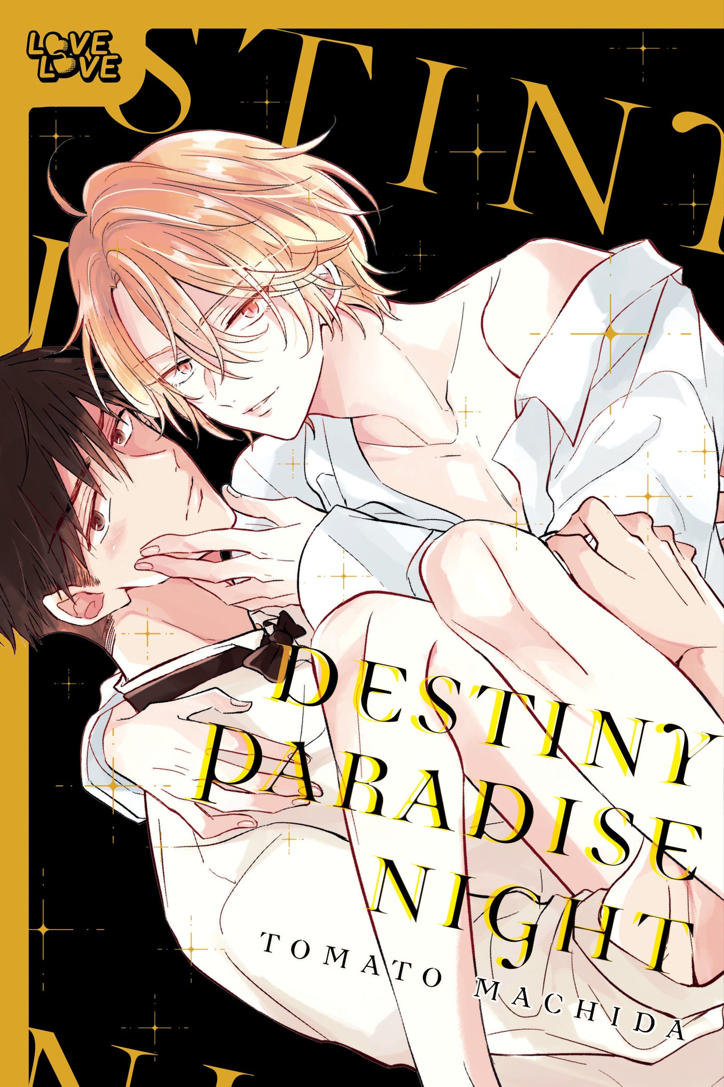 Destiny Paradise Night