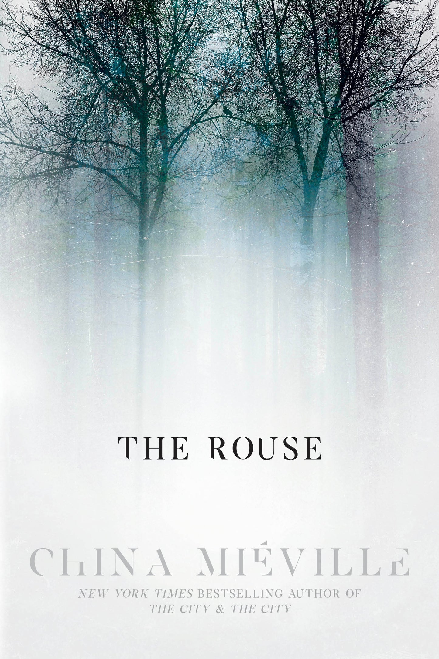 The Rouse