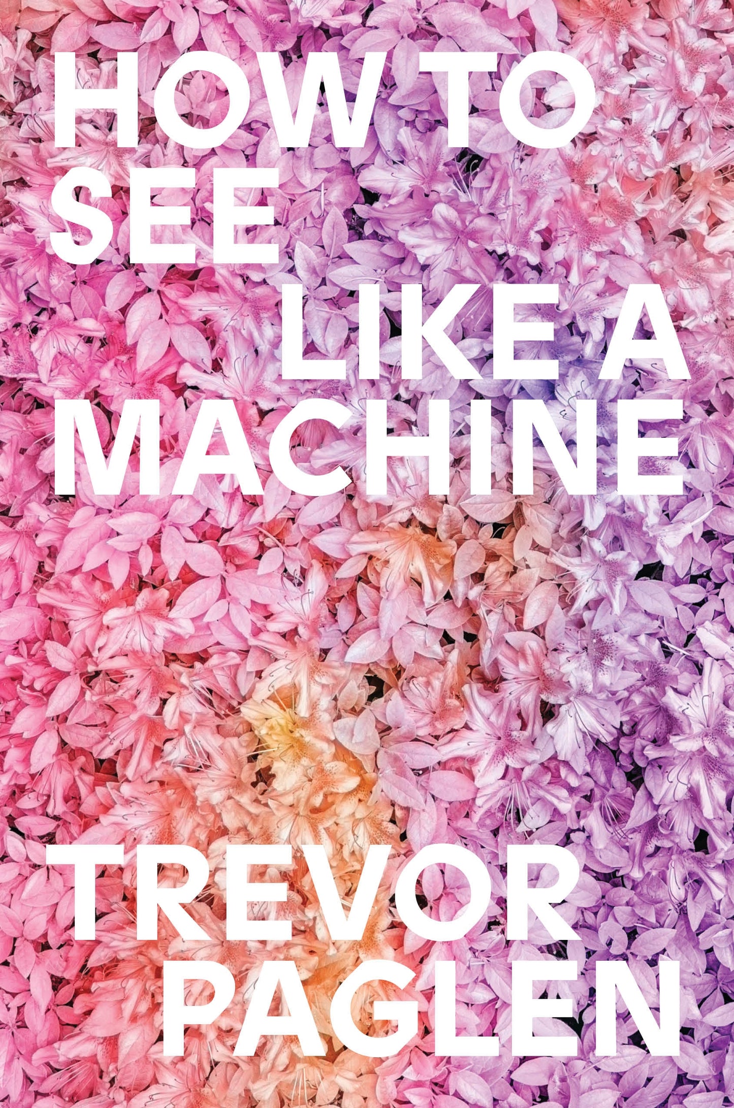 How to See Like a Machine