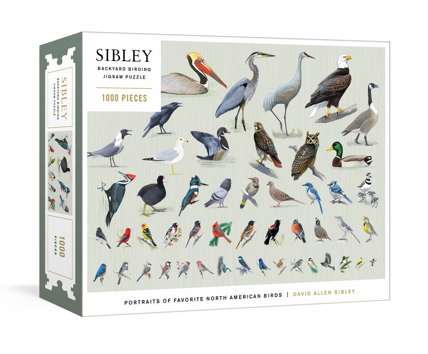 SIBLEY BACKYARD BIRDING PUZZLE