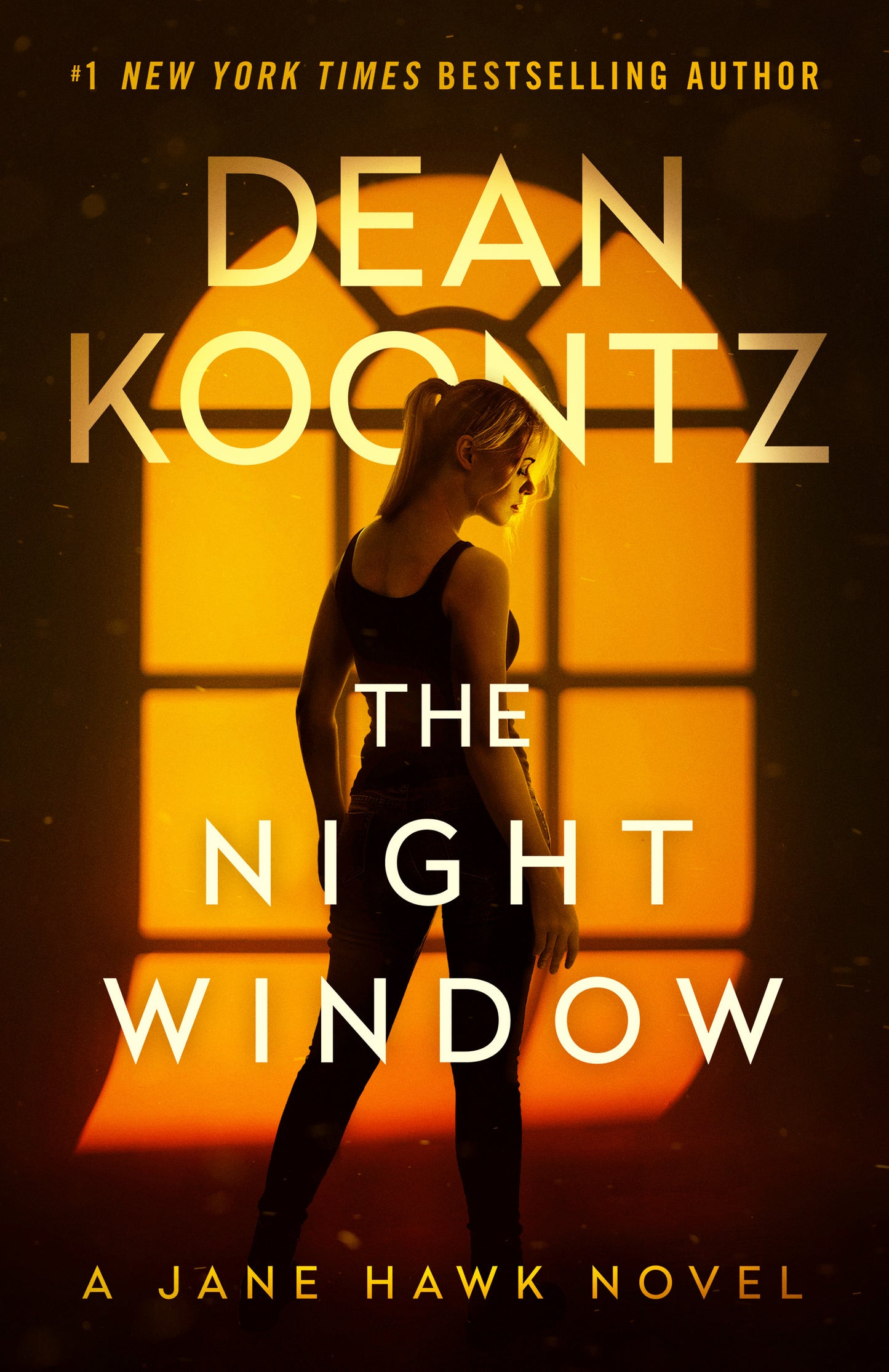 The Night Window