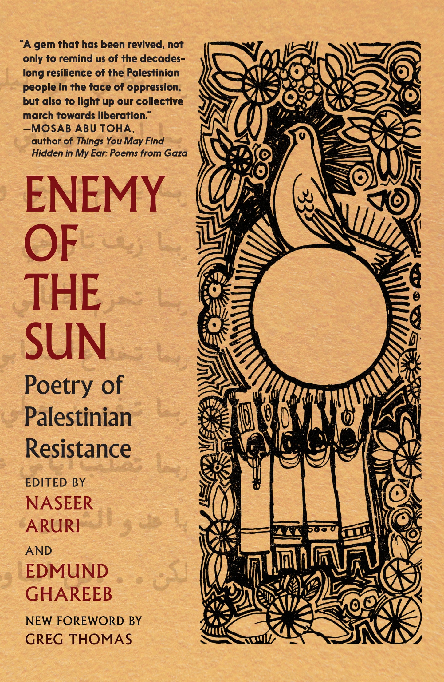 Enemy of the Sun