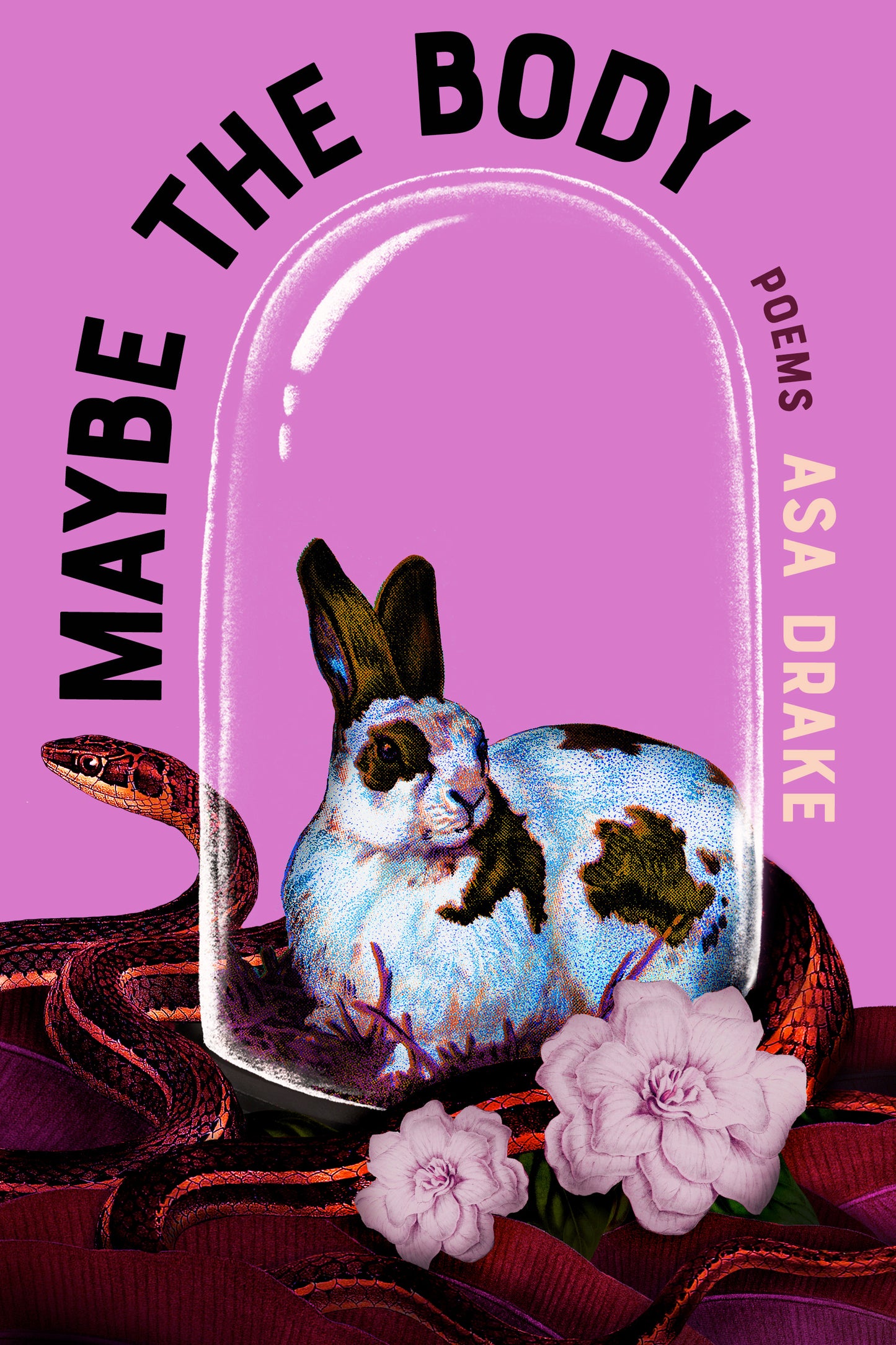 Maybe the Body
