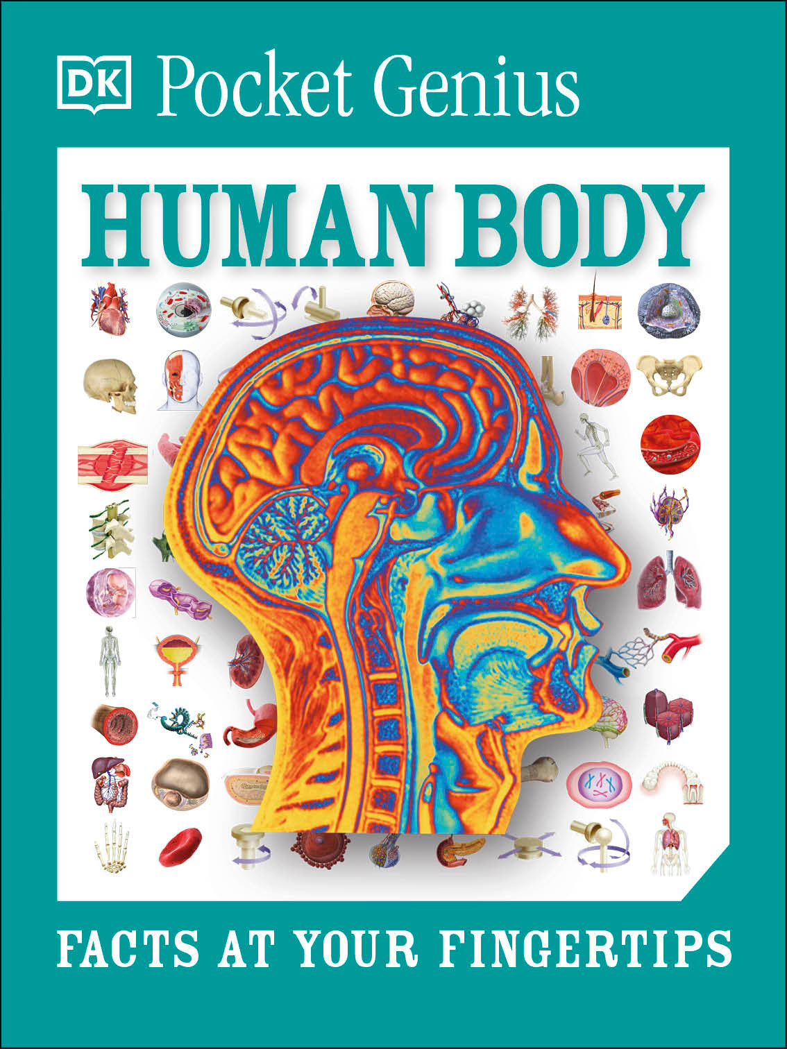 Pocket Genius Human Body