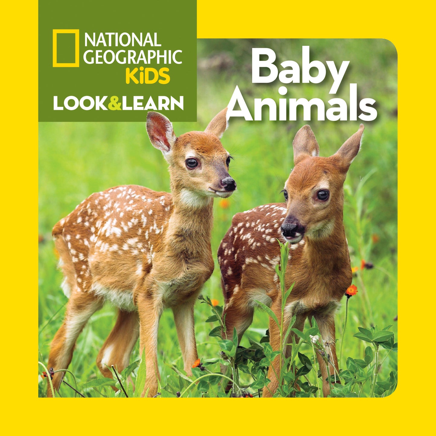 National Geographic Kids Look &amp; Learn: Baby Animals