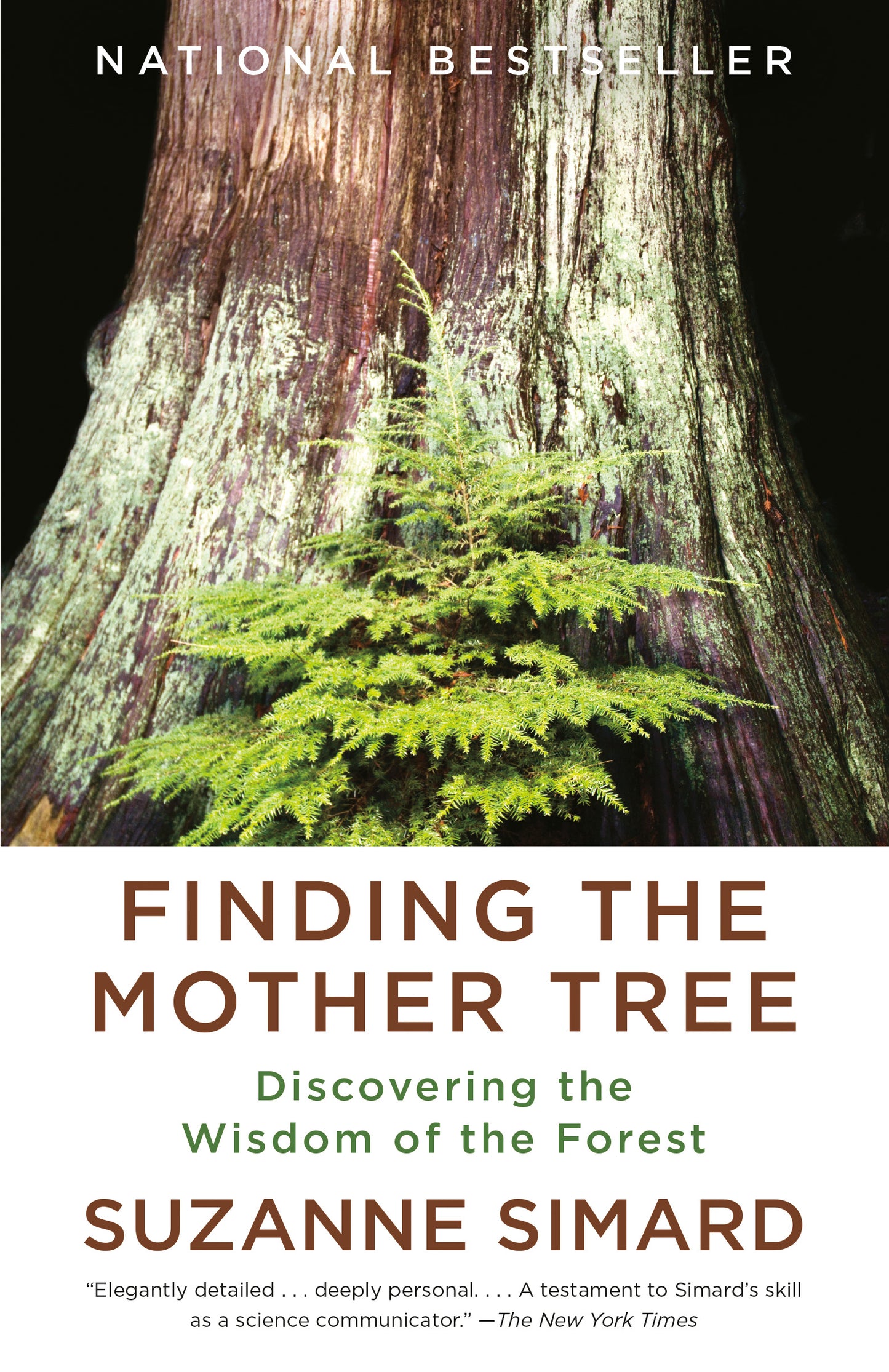 Finding the Mother Tree