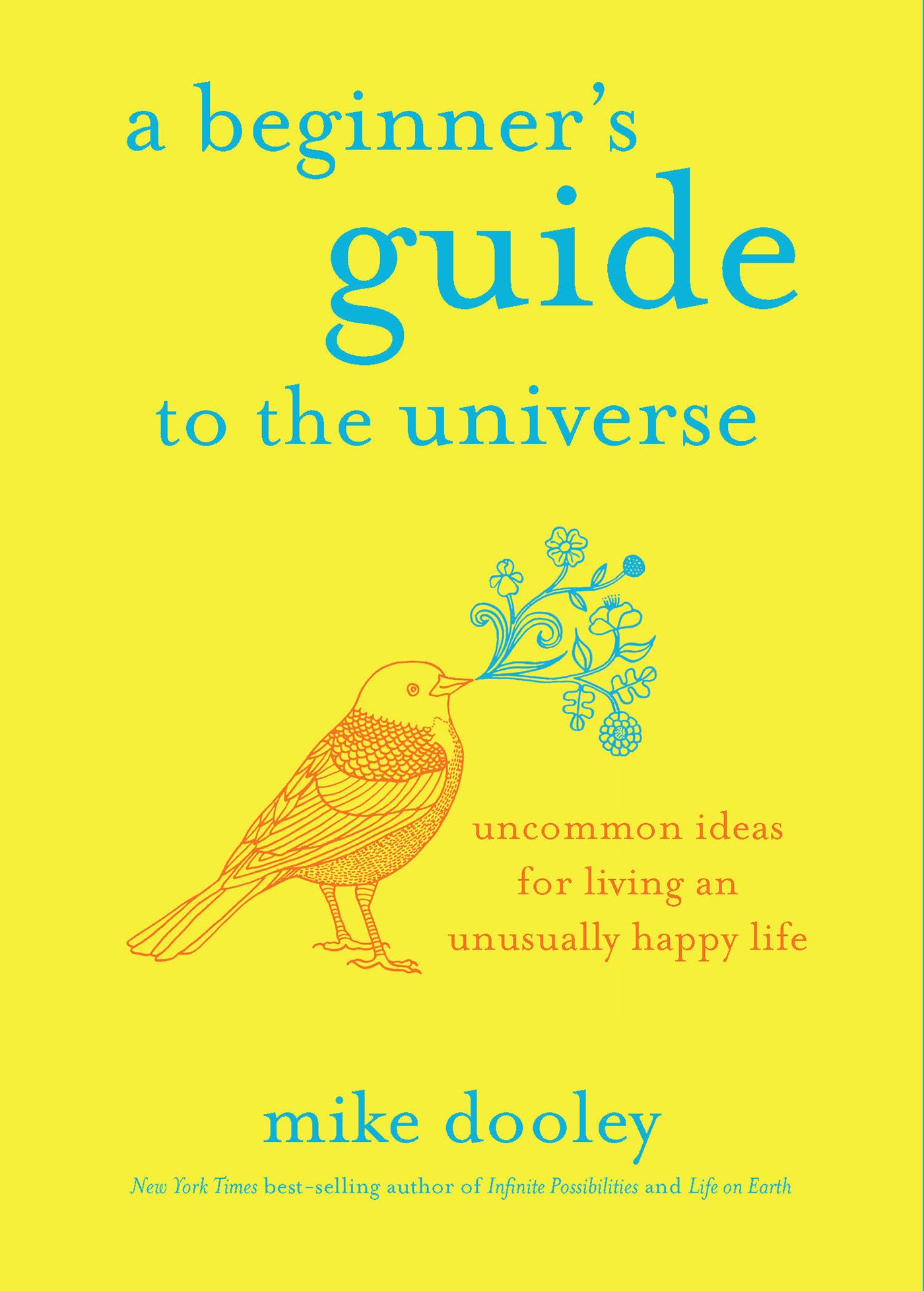 A Beginner's Guide to the Universe