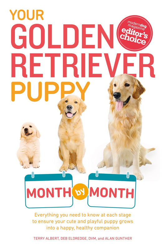 Your Golden Retriever Puppy Month by Month