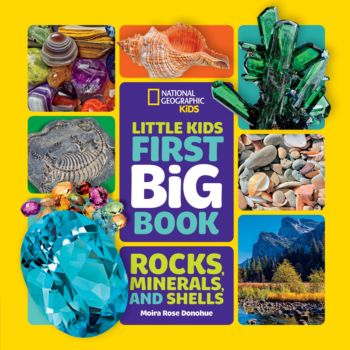 National Geographic Little Kids First Big Book of Rocks, Minerals &amp; Shells