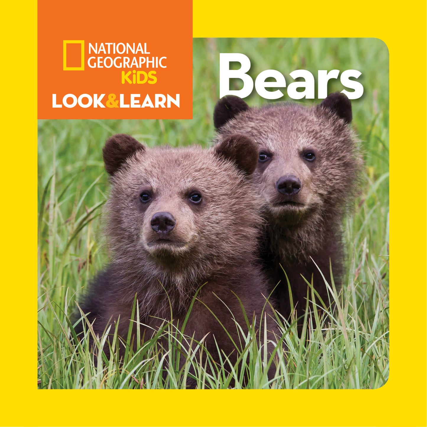 National Geographic Kids Look &amp; Learn: Bears