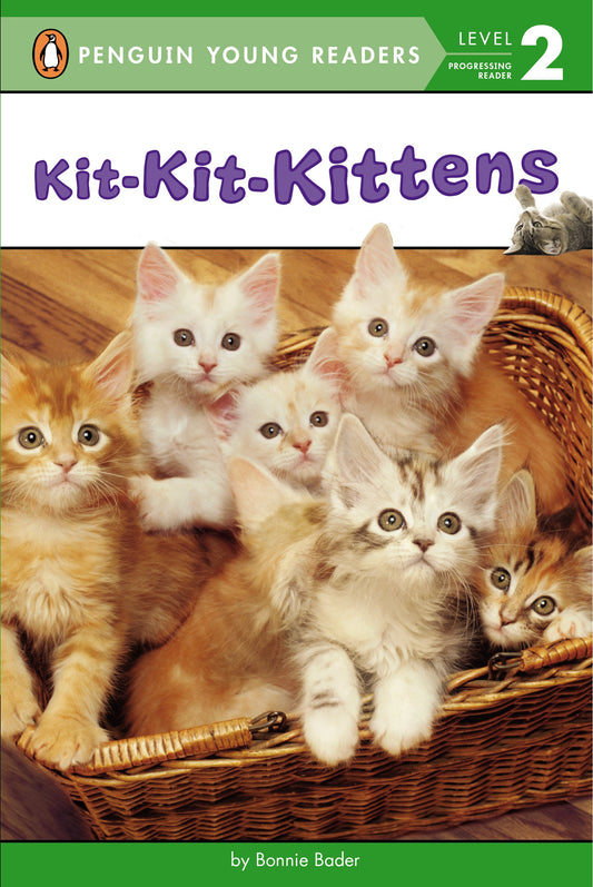 Kit-Kit-Kittens