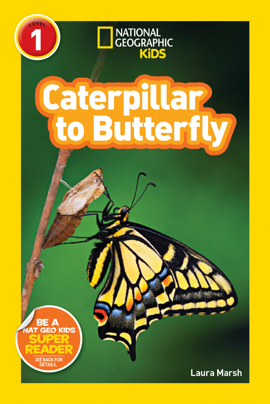 Caterpillar to Butterfly (National Geographic Kids Readers, Level 1)