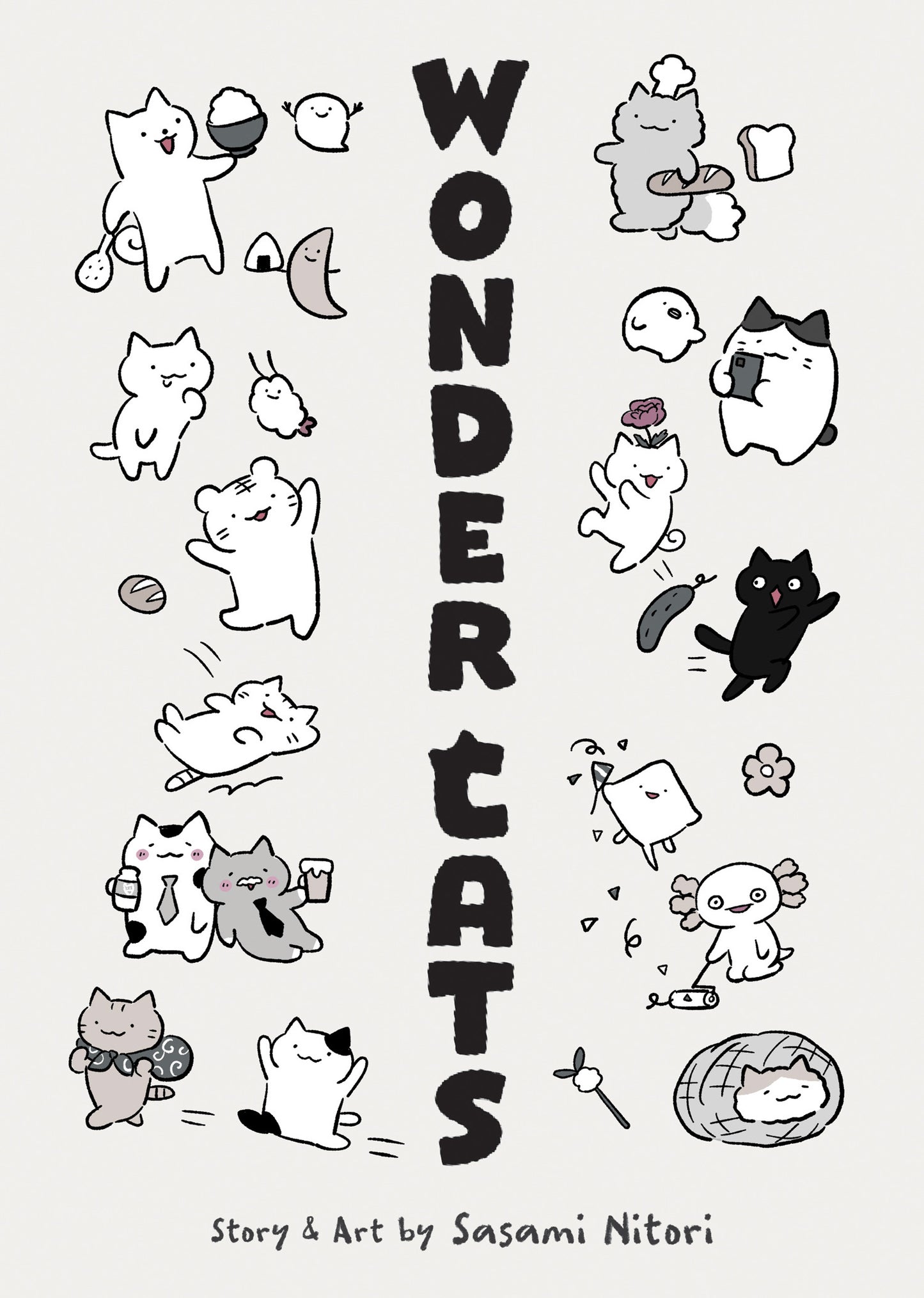 WONDER CATS