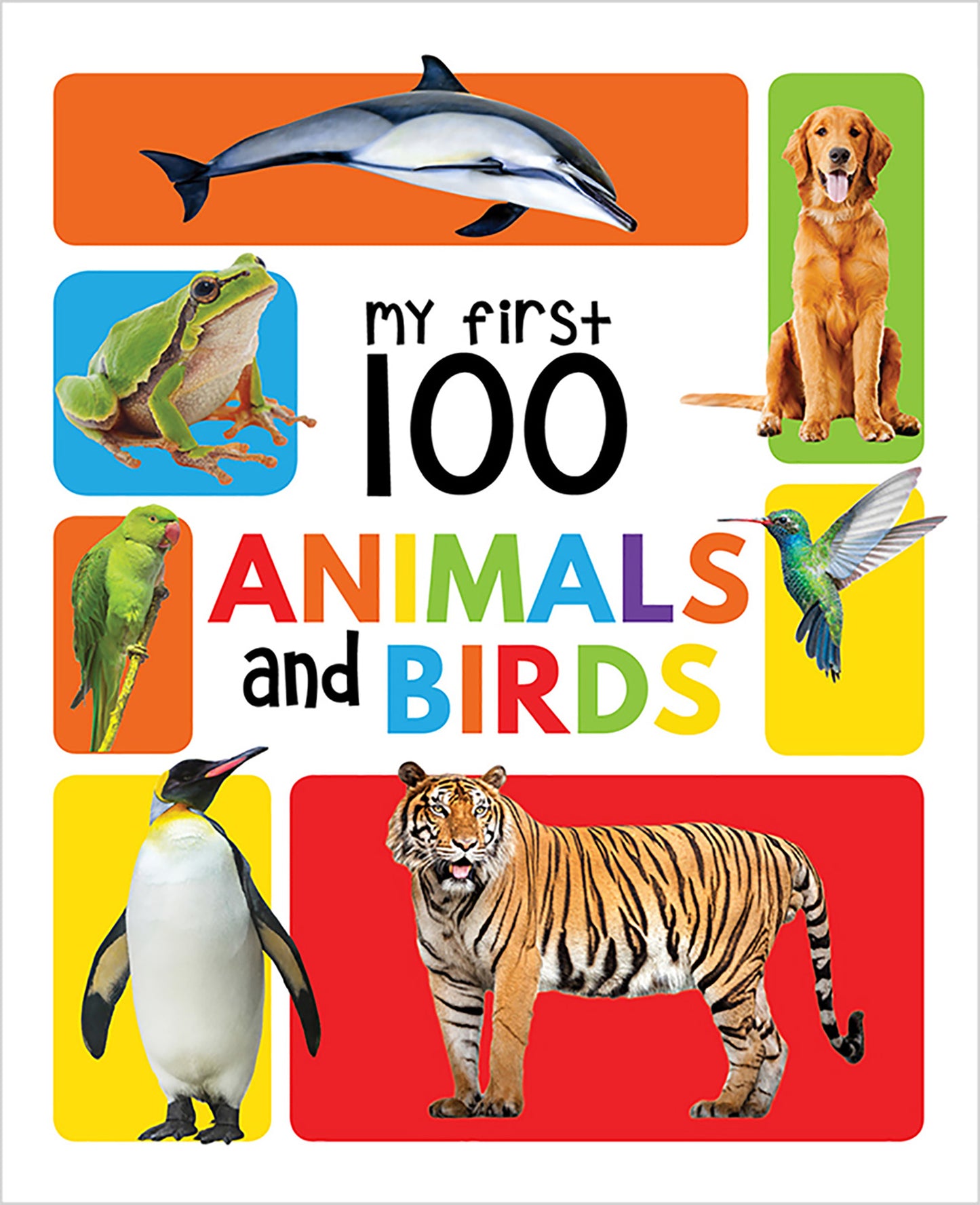 My First 100 Animals and Birds Board Book : My 100 Library Series