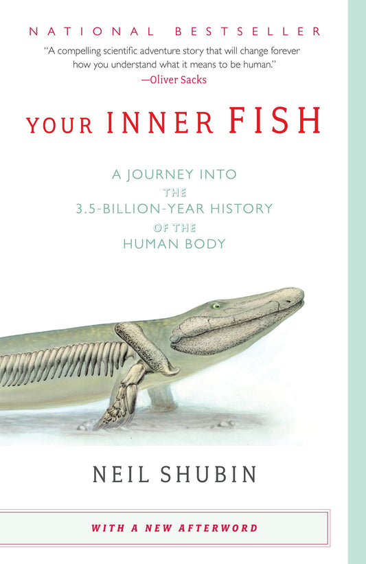 Your Inner Fish