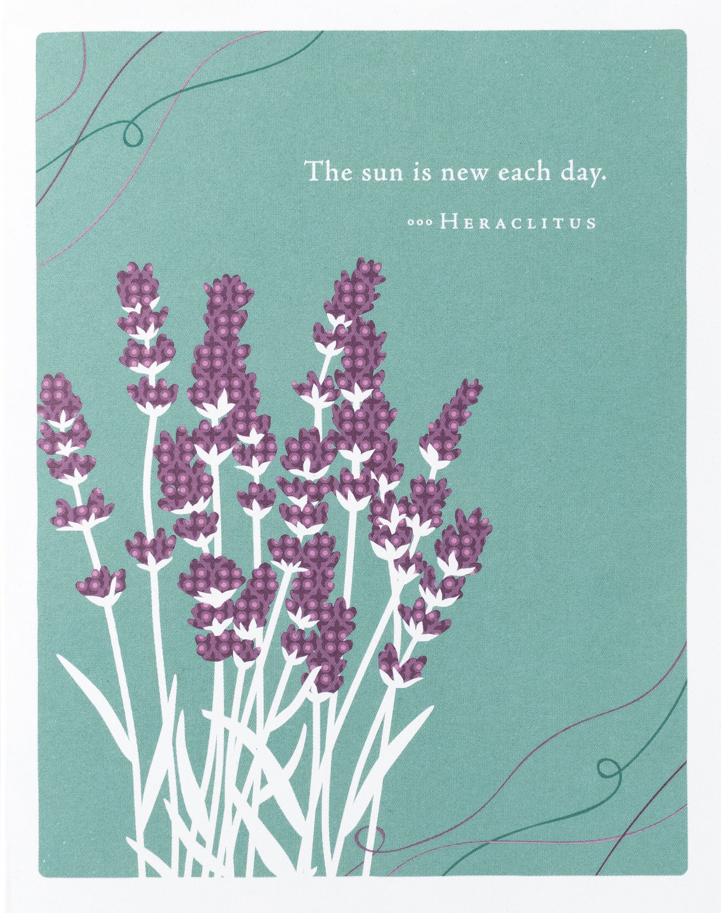 Positively Green Greeting Cards: Get Well - The sun is new each day (Pack of 6)
