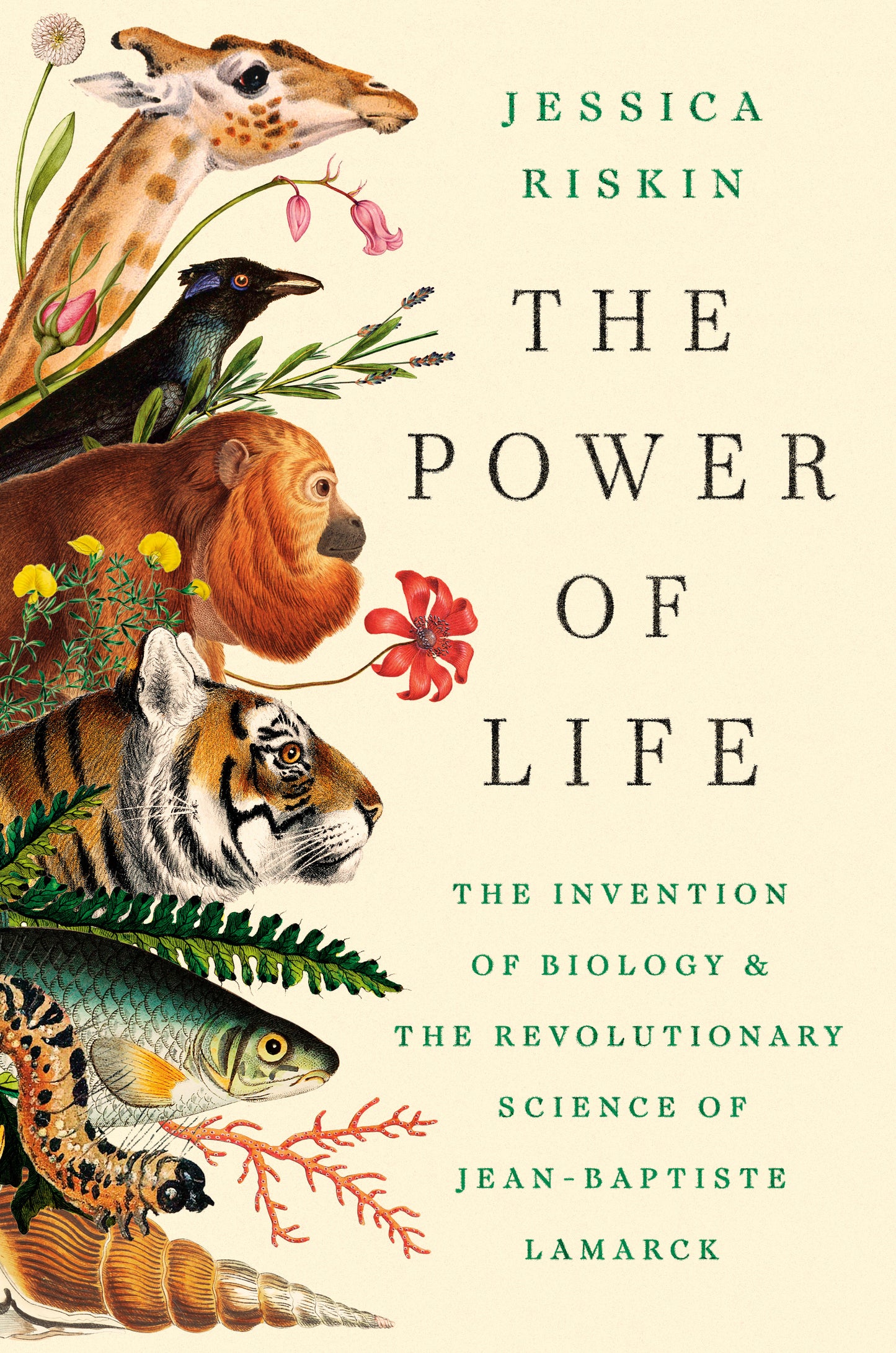 The Power of Life
