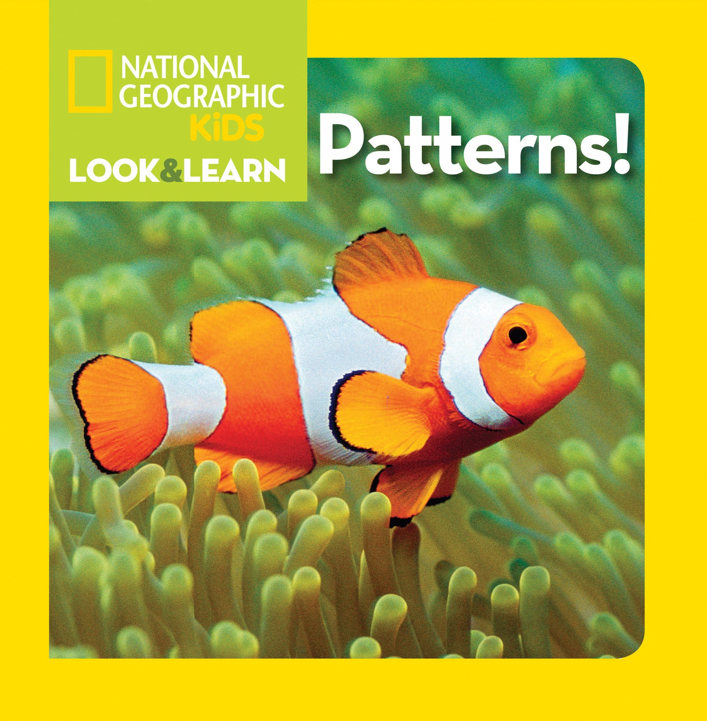 National Geographic Kids Look &amp; Learn: Patterns!