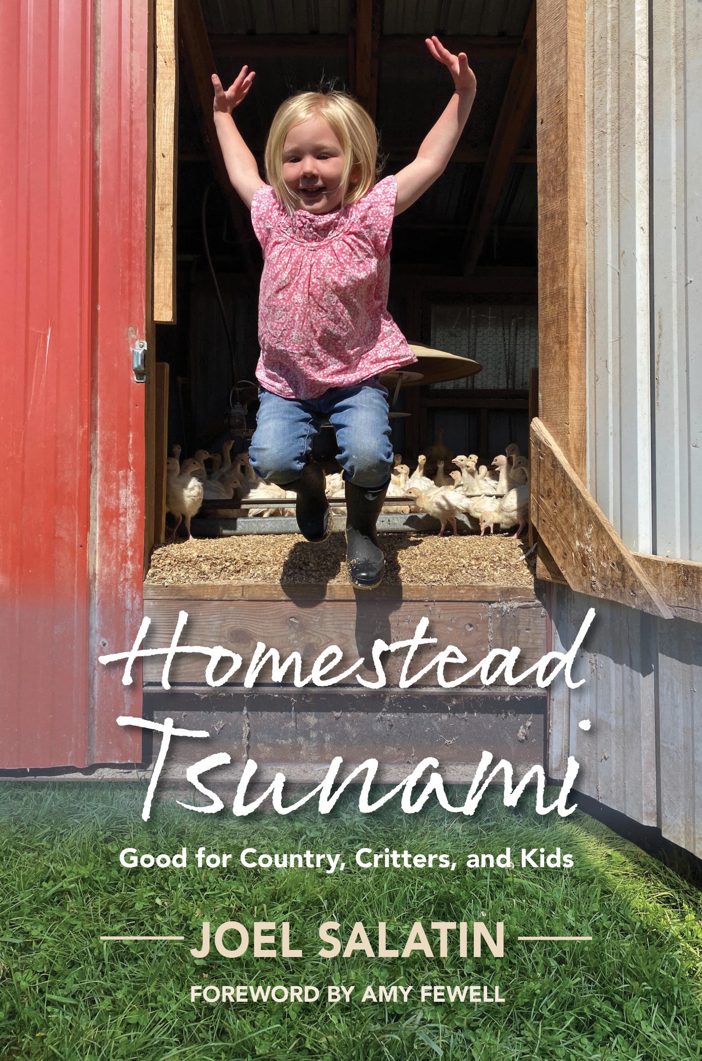 Homestead Tsunami