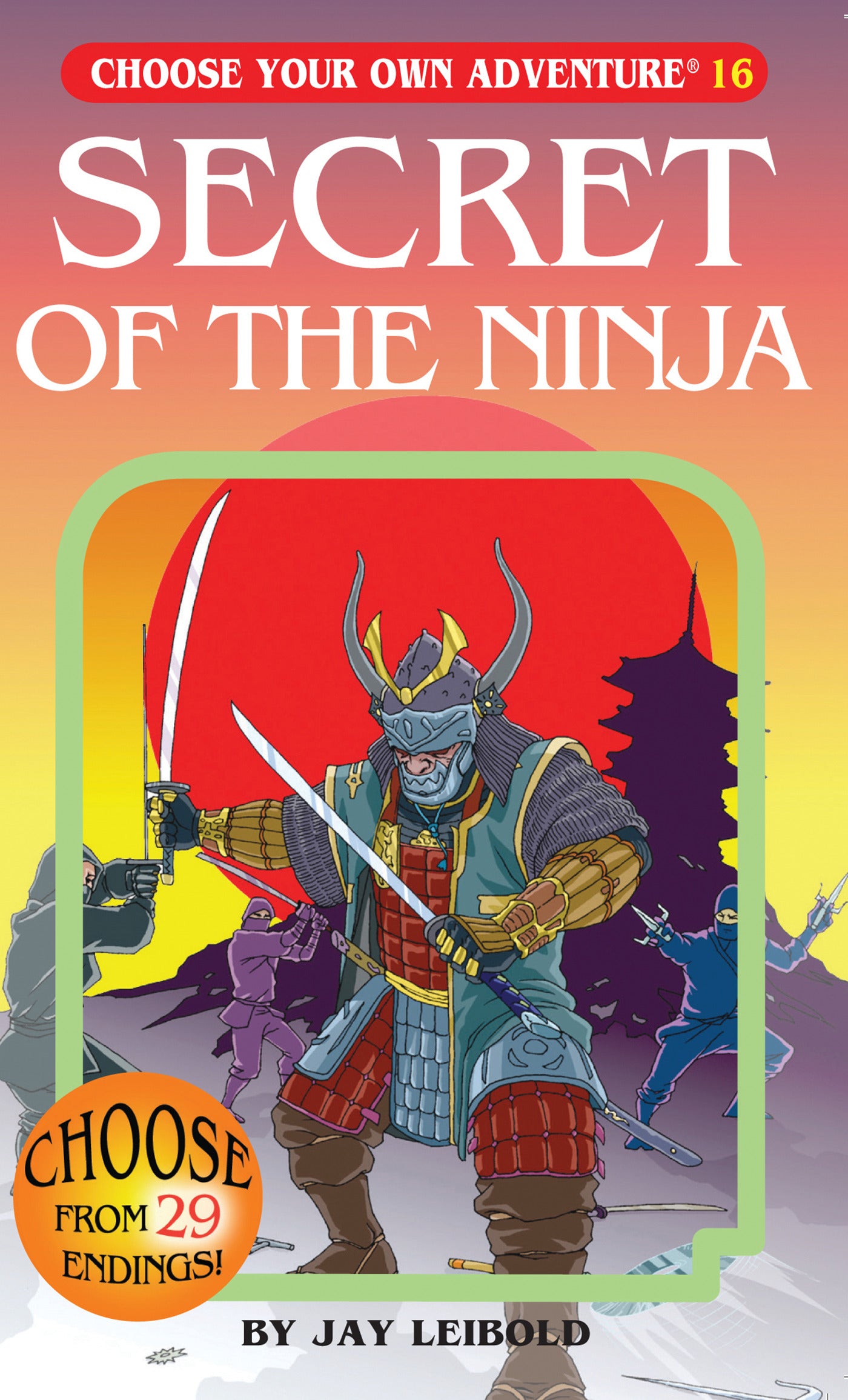 Secret Of The Ninja