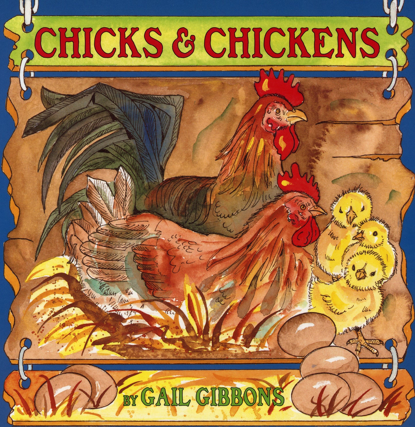 Chicks &amp; Chickens