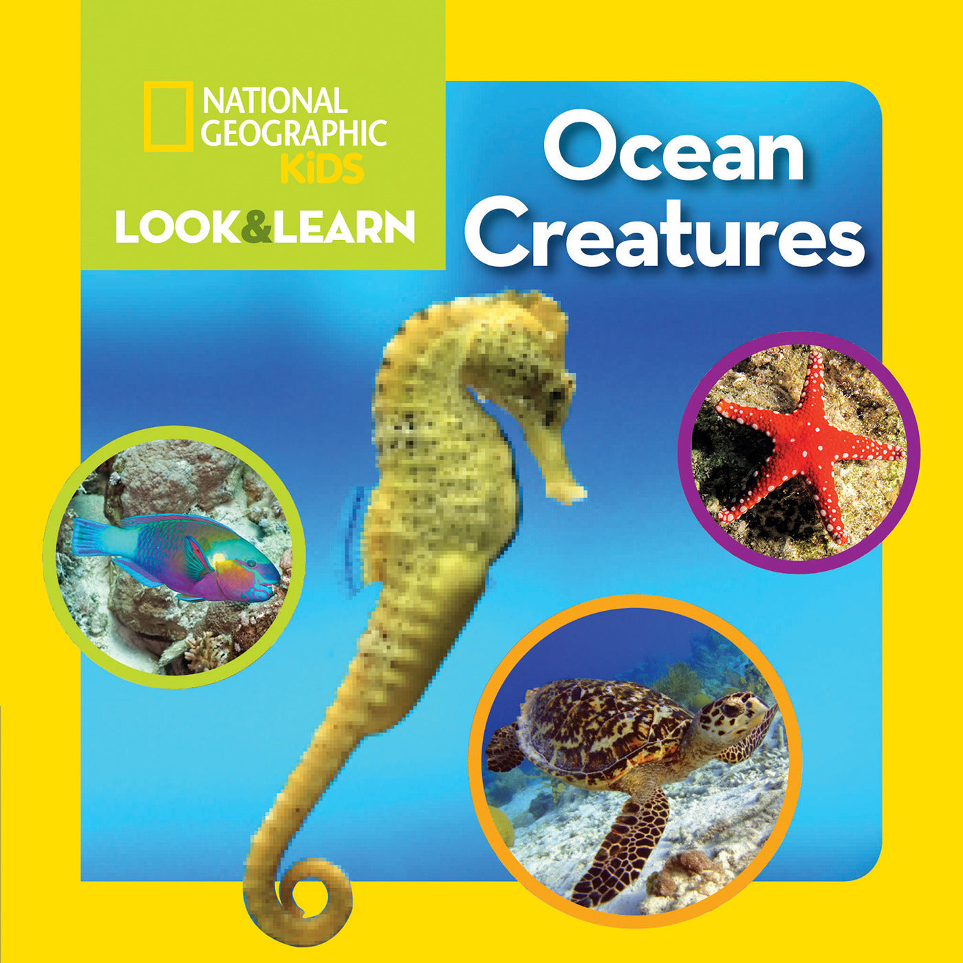 National Geographic Kids Look &amp; Learn: Ocean Creatures