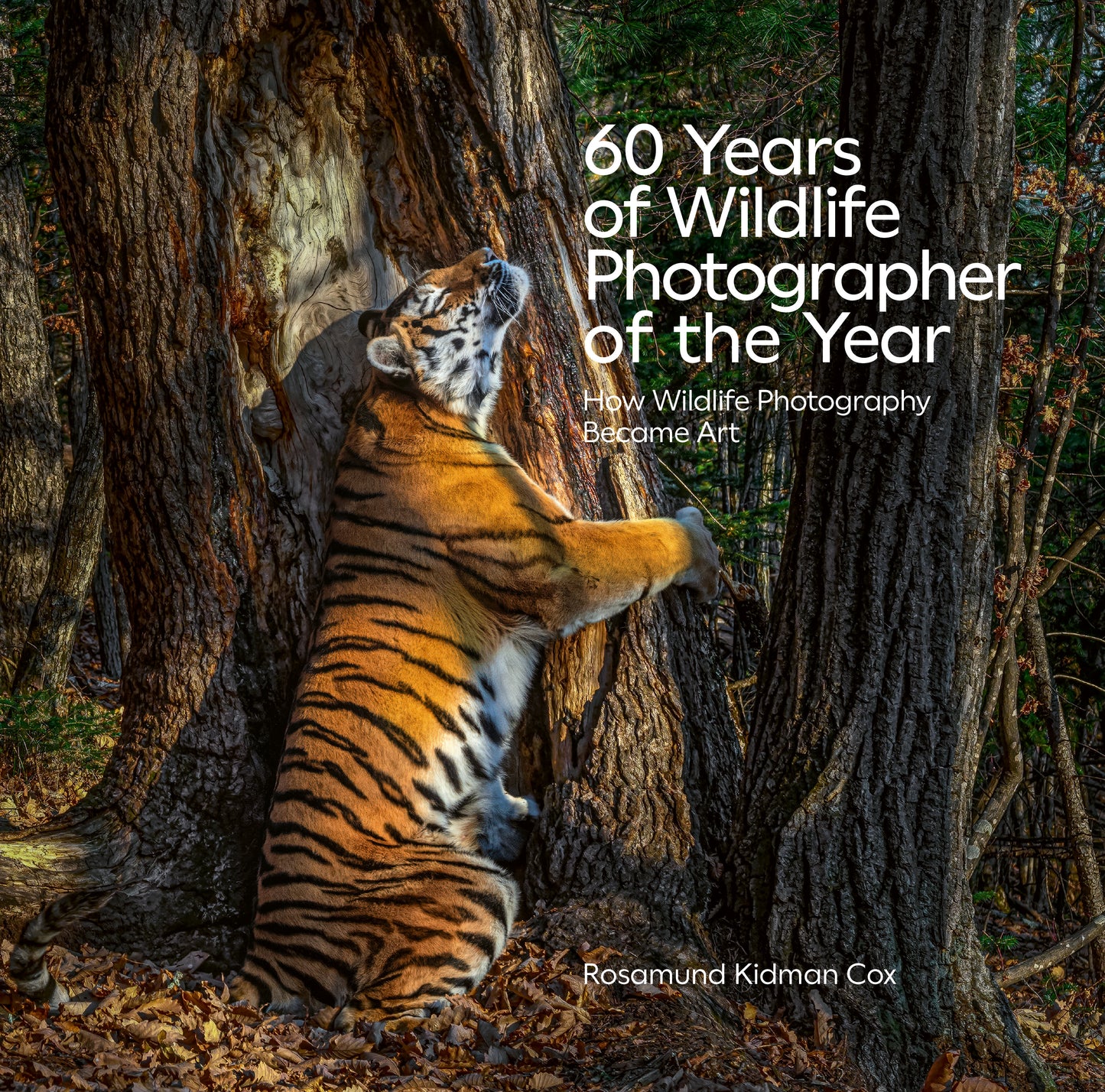 60 Years of Wildlife Photographer of the Year