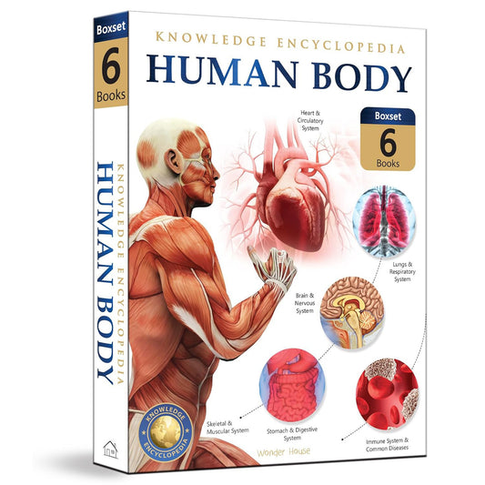 Human Body Box Set: Knowledge Encyclopedia For Children