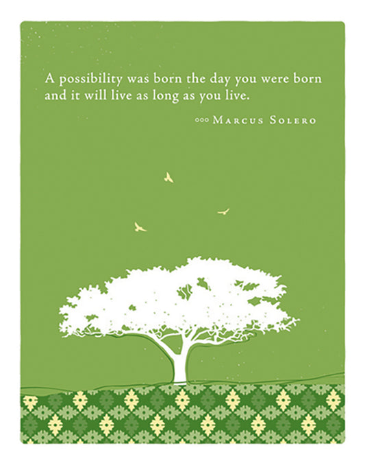 Positively Green Greeting Cards: Birthday - A possibility was born (Pack of 6)