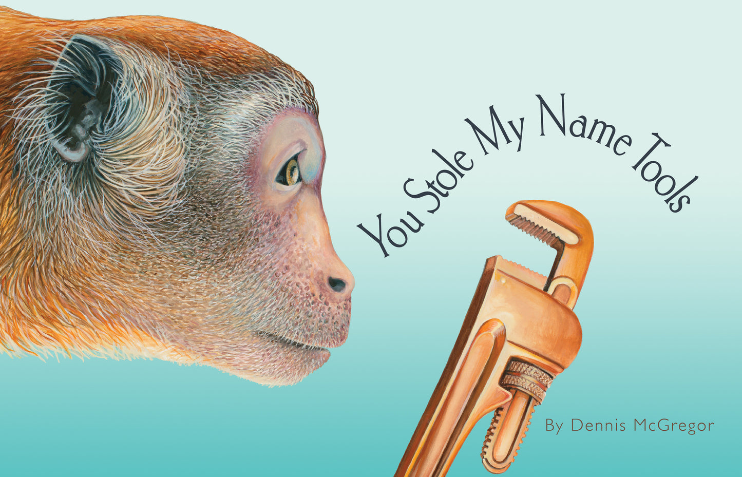 You Stole My Name: Tools