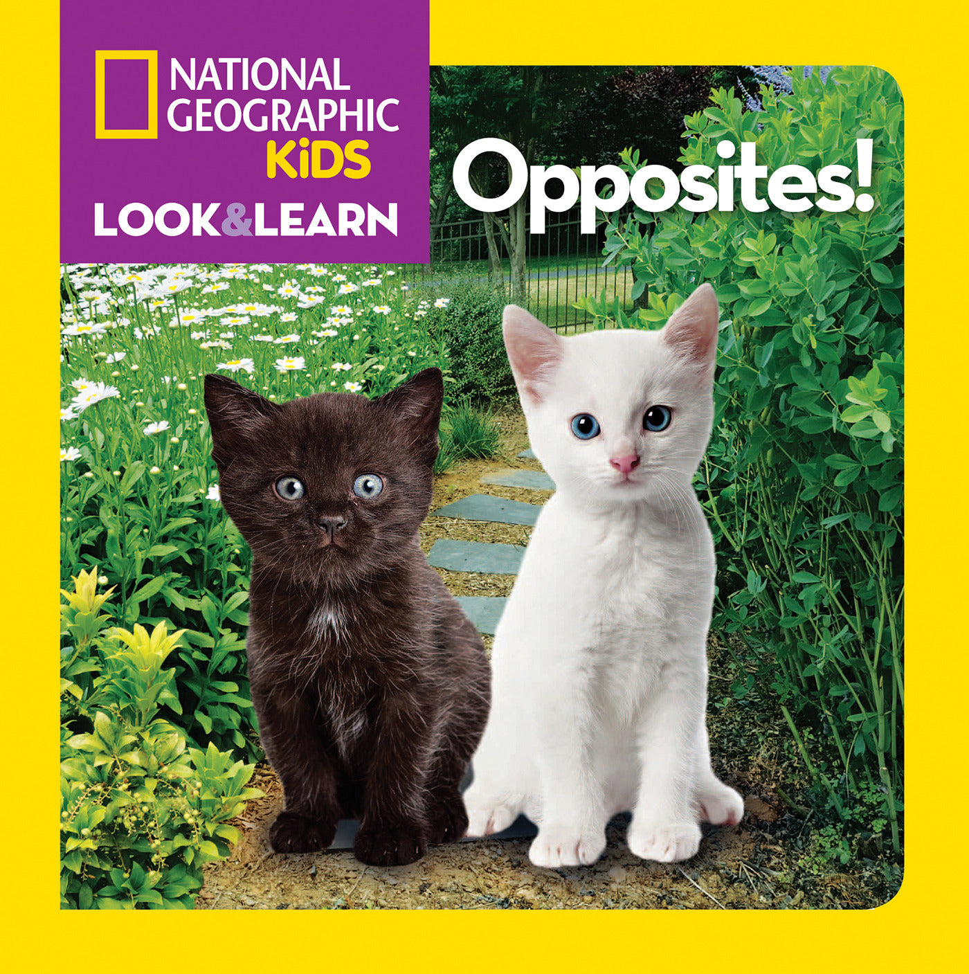 National Geographic Kids Look &amp; Learn: Opposites!