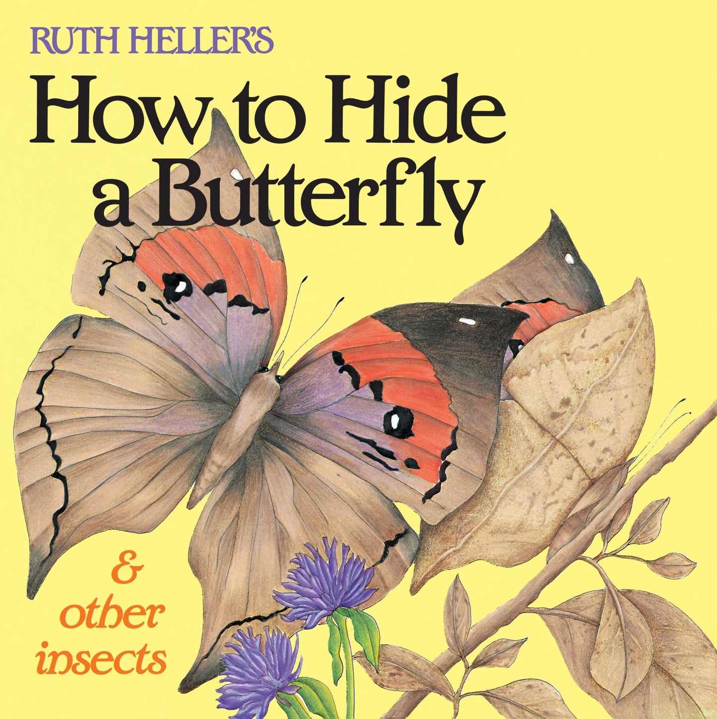 Ruth Heller's How to Hide a Butterfly &amp; Other Insects