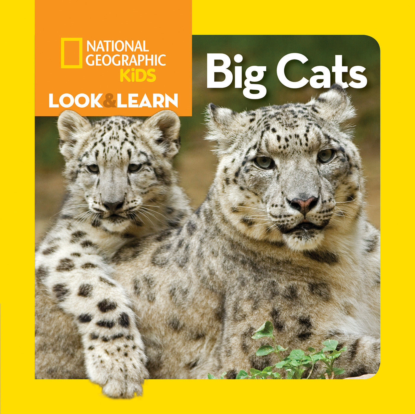 National Geographic Kids Look &amp; Learn: Big Cats