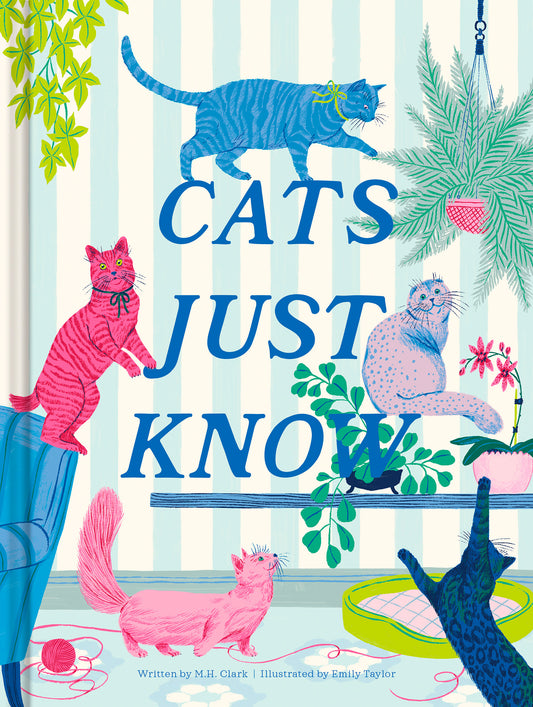 Cats Just Know