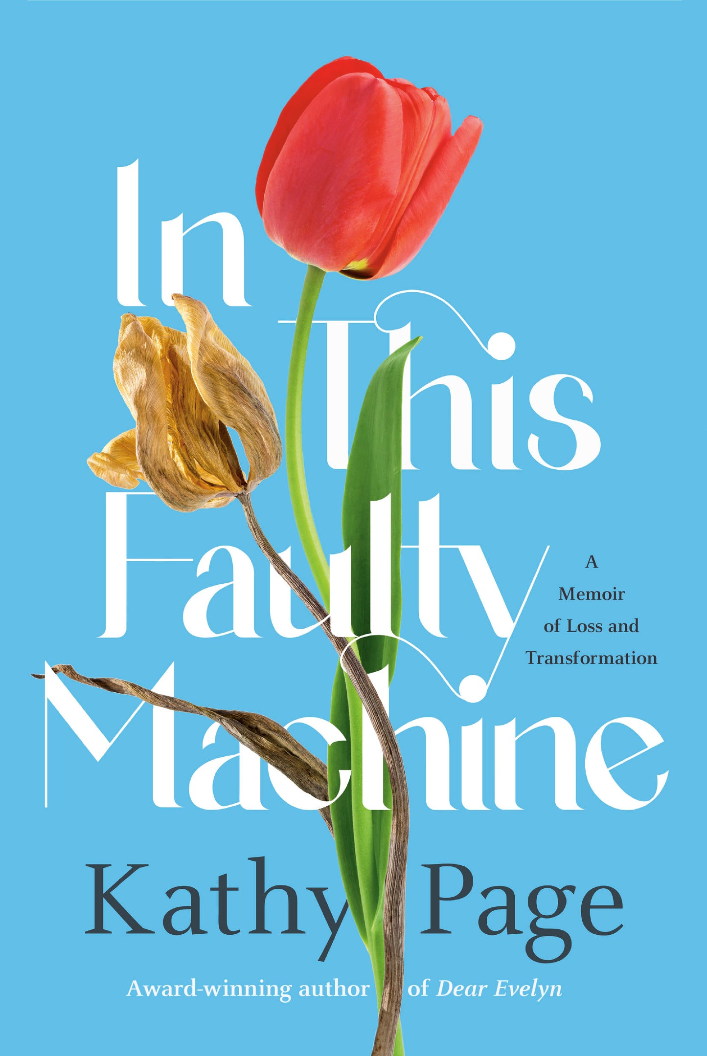 In This Faulty Machine
