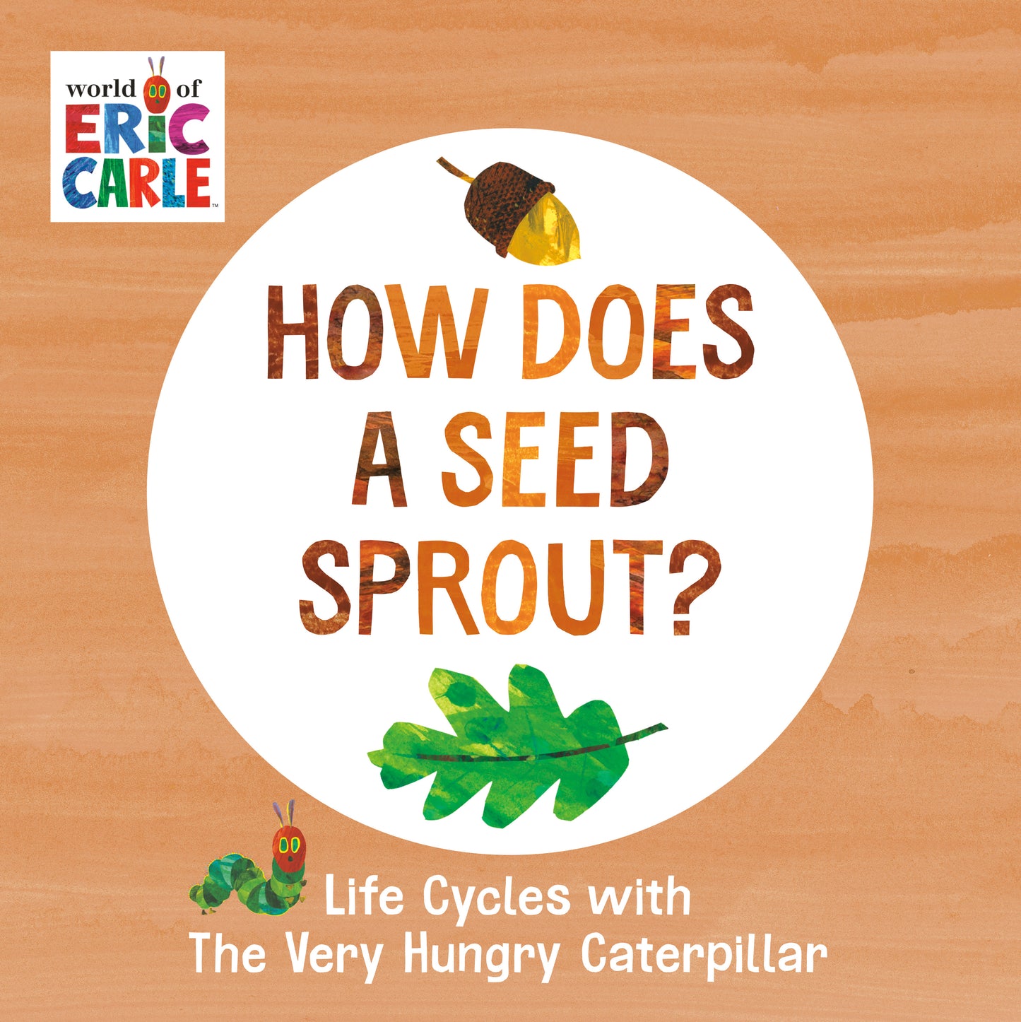 How Does a Seed Sprout?