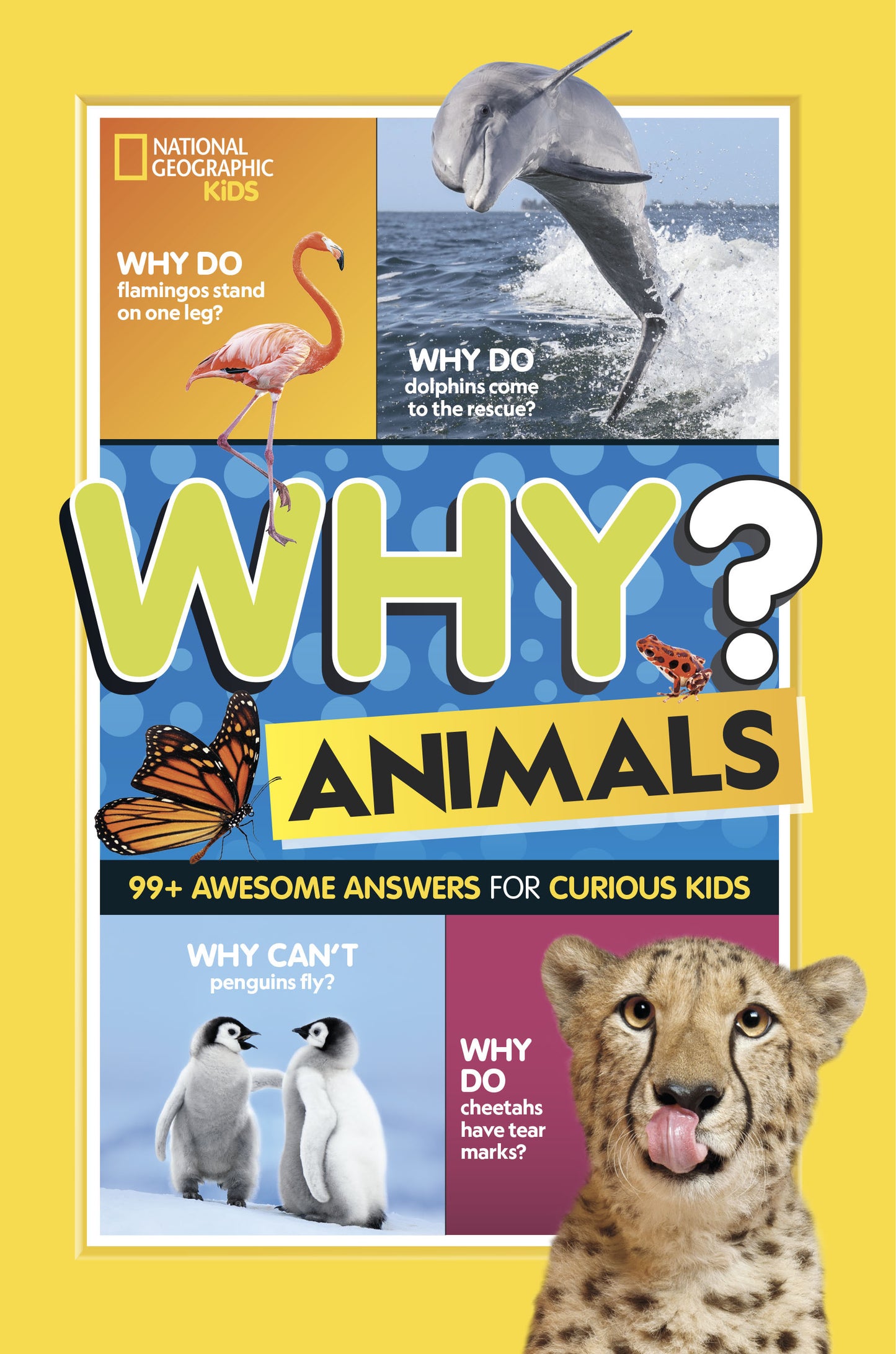 National Geographic Kids Why? Animals