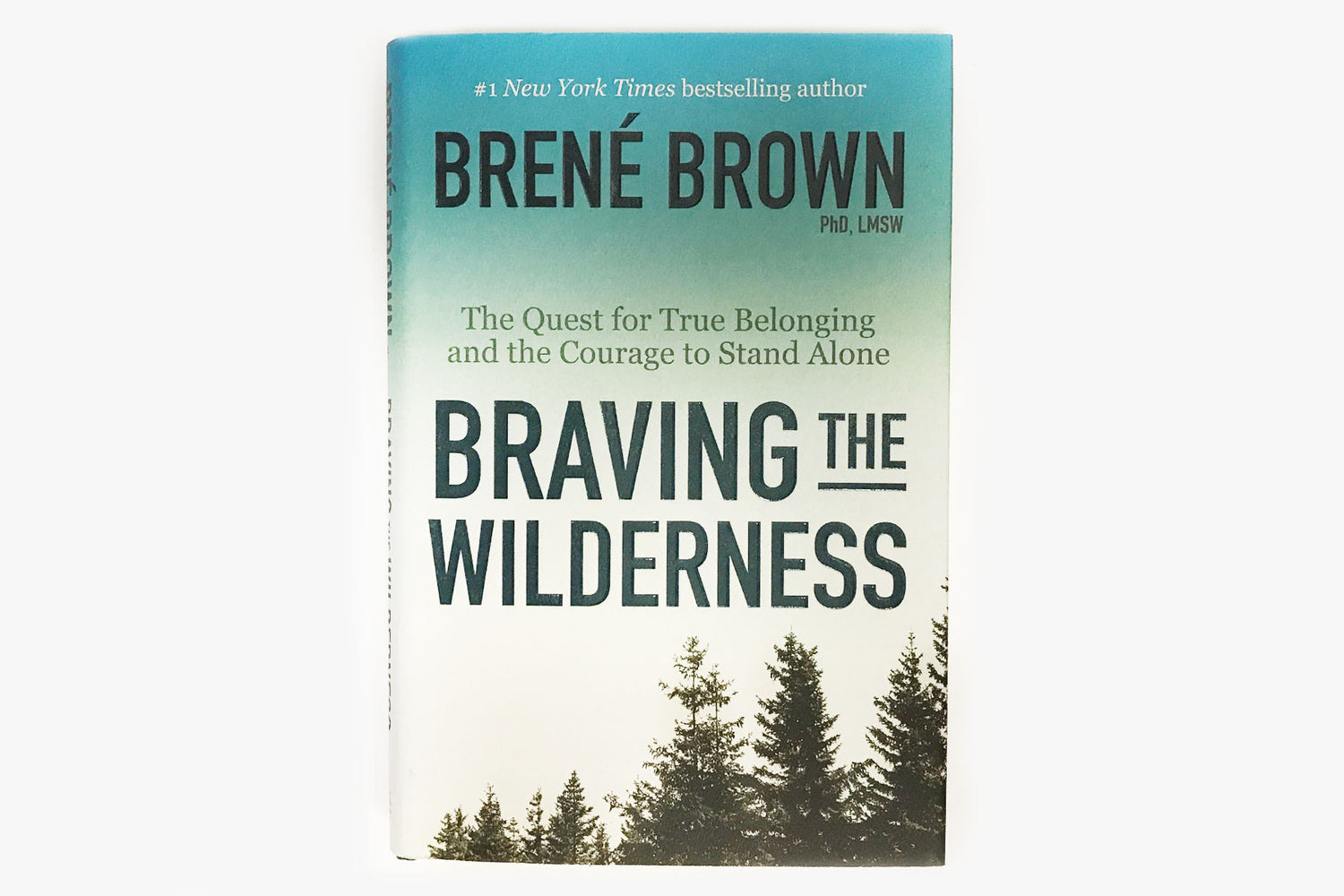 Braving the Wilderness by Brené Brown